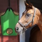 Premium Horse Slow Feed Hay Bag with Metal Snap Fastener and Heavy Adjustable Strap (Green, 2-Pack) - Image 9