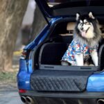 Pecute SUV Cargo Liner for Dogs,Heavy Duty Pet Trunk Liner Cargo Cover with Soft Cushion, Pet Cover Dog Seat Mat SUVs with Bumper Flap Protector，Protector Cargo Mats for Back of SUV - Image 10