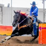 Breyer Horses Traditional Series ATP Power | Benefiting The Amberley Snyder Freedom Foundation | Horse Toy Model | 13.5" x 10" | 1:9 Scale | Model #1870 - Image 7