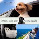 Dog Booster Car Seat, Comfy Pet Booster Car Seat Covering Ultra Soft Fabric and Filling Memory Foam,Safety Car Seat for Dogs with 3 Straps and Safety Belt Channel,Washable(Beige, Medium) - Image 7