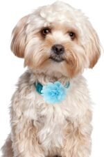 Yxiang Dog Collar Flowers Bulk Pet Flower Bow Ties Multi-Color Dog Charms Flower for Cat Puppy Dog Collar Grooming Accessories - Image 7