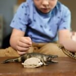 Schleich Wild Life 5-Piece Wild Animal Toy Playset for Boys and Girls Ages 3+, Danger in The Swamp with Alligator and Snake - Image 4