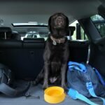 SLSON Spill Proof Dog Water Bowl for Cars,Collapsible No Splash Dog Travel Bowls Integrated Molding Portable Pet Bowl for Road Trip Truck,RV,SUV,Boat Accessories (Yellow) - Image 7