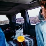 SLSON Spill Proof Dog Water Bowl for Cars,Collapsible No Splash Dog Travel Bowls Integrated Molding Portable Pet Bowl for Road Trip Truck,RV,SUV,Boat Accessories (Yellow) - Image 8