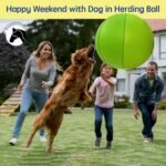 Herding Ball for Dogs, 25" Horse Ball with Cover, Dog Herding Balls Large with Hand Pump, Horse Dog Toys for Play Hurding Ball/Hearding Ball (Green, 25 inch) - Image 3