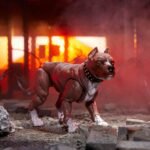 G.I. Joe Classified Series #135, Dreadnok Road Pig & Rawkus, Collectible 6 Inch Action Figure with Pet Dog Pit Bull Figure and 10 Accessories - Image 6