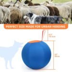 Dog Herding Ball for Dogs & Puppies, Play Ball Toy for Horse, Herding Ball for Cattle Dog, Herding Ball for Australian Shepherd, Dog Toy Ball | Oxford Fabric Cover, Pump, Patch Repair Kit (22inch) - Image 3