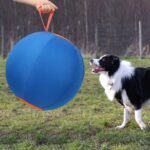 Dog Herding Ball for Dogs & Puppies, Play Ball Toy for Horse, Herding Ball for Cattle Dog, Herding Ball for Australian Shepherd, Dog Toy Ball | Oxford Fabric Cover, Pump, Patch Repair Kit (22inch) - Image 8