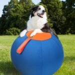 Dog Herding Ball for Dogs & Puppies, Play Ball Toy for Horse, Herding Ball for Cattle Dog, Herding Ball for Australian Shepherd, Dog Toy Ball | Oxford Fabric Cover, Pump, Patch Repair Kit (22inch) - Image 9