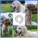 Cuban Link Silver Dog Chain Collar Design Secure Buckle Crystal Necklace Silver Dog Metal Jewelry Accessories for Small Medium Large Pet Male Dogs (20inch) - Image 4