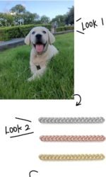 Cuban Link Silver Dog Chain Collar Design Secure Buckle Crystal Necklace Silver Dog Metal Jewelry Accessories for Small Medium Large Pet Male Dogs (20inch) - Image 5