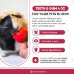 Dog Mouth Spray | Dog Dental Spray | Dental Spray for Dogs Teeth | Cat Dental Care | Colloidal Silver for Dogs, Horses | Dog Teeth Cleaning | Cat Teeth Cleaning | Teeth and Gum Spray for Dogs | 4 Oz - Image 3