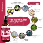 Dog Mouth Spray | Dog Dental Spray | Dental Spray for Dogs Teeth | Cat Dental Care | Colloidal Silver for Dogs, Horses | Dog Teeth Cleaning | Cat Teeth Cleaning | Teeth and Gum Spray for Dogs | 4 Oz - Image 4