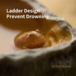 Reptile Water Dish,Resin Reptile Rock Food Feeder Bowl, Water and Food Bowl,Terrarium Decor for Leopard Gecko, Lizard,Spider,Turtle,Scorpion, Chameleon,Hermit Crabs (M, Yellow) - Image 3