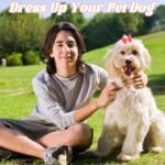 20PCS Dog Bows Cute Dog Hair Bows with Rubber Bands Pink Dog Hair Bows for Small Dogs Girl Handmade Puppy Bows with Rhinestone Pearls Girl Dog Accessories for Pet Hair Grooming - Image 6