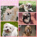 20PCS Dog Bows Cute Dog Hair Bows with Rubber Bands Pink Dog Hair Bows for Small Dogs Girl Handmade Puppy Bows with Rhinestone Pearls Girl Dog Accessories for Pet Hair Grooming - Image 8