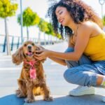 120 Pcs Summer Theme Dog Bow Tie Collar Set Includes 60 Fruit Bow Ties for Dogs Dog Grooming Bowtie 30 Dog Neckties 30 Large Bow Tie Collar PET Holiday Accessories for Dog Cat - Image 6