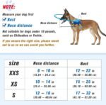 Blind Dog Halo Harness, Protective Halo Dog Collar for Blind Dogs, Confidence Building Harness Guiding Device, Blind Dog Accessories, S - Image 3