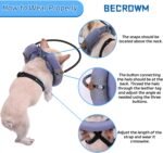 Blind Dog Harness, Lightweight Collar for Dogs&Cats, Adjustable Guiding Device Protects Pets from Collision, Builds Confidence, Blind Dog Accessories, Small Dogs, Purple (Neck: 7.1"-10.2") - Image 4