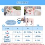 Blind Dog Harness, Lightweight Collar for Dogs&Cats, Adjustable Guiding Device Protects Pets from Collision, Builds Confidence, Blind Dog Accessories, Small Dogs, Purple (Neck: 7.1"-10.2") - Image 5