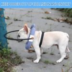 Blind Dog Harness, Lightweight Collar for Dogs&Cats, Adjustable Guiding Device Protects Pets from Collision, Builds Confidence, Blind Dog Accessories, Small Dogs, Purple (Neck: 7.1"-10.2") - Image 9