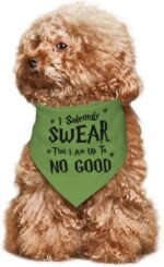 I Solemnly Swear I Am Up to No Good Dog Bandana,Adjustable Bandana,Reversible,Pet Accessories for Dog Lover (Green-1) - Image 8