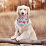 Summer Watermelon Blue Fruit Dog Bandana Scarf Triangle Bibs Pet Accessories Cat Kerchief - Image 6