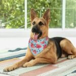 Summer Watermelon Blue Fruit Dog Bandana Scarf Triangle Bibs Pet Accessories Cat Kerchief - Image 7