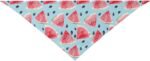 Summer Watermelon Blue Fruit Dog Bandana Scarf Triangle Bibs Pet Accessories Cat Kerchief - Image 10