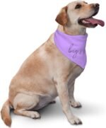 Promoted to Big Sister Dog Bandana Dog Bandana Gender Reveal Photo Props Accessories im Going to be Big Sister Pet Scarf (Purple) - Image 3
