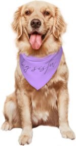 Promoted to Big Sister Dog Bandana Dog Bandana Gender Reveal Photo Props Accessories im Going to be Big Sister Pet Scarf (Purple) - Image 9