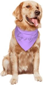 Promoted to Big Sister Dog Bandana Dog Bandana Gender Reveal Photo Props Accessories im Going to be Big Sister Pet Scarf (Purple) - Image 10
