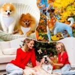 100 Pcs Sublimation Blank Dog Bandanas Heat Transfer Washable Triangle Dog Scarf DIY Sublimation PET Bandana Dog Bib Kerchief Puppy Accessories for Dogs Cat, White (30.71 x 21.65 Inch) - Image 8