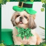 Talltalk 240 Pcs Valentine's Day Dog Bow Ties St. Patrick's Day Dog Collars Adjustable Dogs Bow Ties Collar Valentines Dog Accessories for Pet Small Medium Dog Cat Accessories(Shamrock) - Image 5