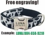 Personalized Cow Pattern Pet Collar Custom Puppy ID Tag Adjustable Cat Accessory Black White Basic Dog Collars Leash Set (Small, Collar) - Image 4