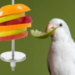 Bird Skewer, Bird Food Holder Bird Cage Food Holder Hanging Food Bird Skewer Stainless Steel Parrot Hanging Vegetable Fruit Feeder Parrot Foraging Toy for Parrots Cockatoo Cockatiel(23 cm) - Image 8