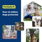 PetSafe Guardian GPS + Tracking Dog Fence Collar Pet Safe GPS Dog Collar Fence System, with App Waterproof Rechargeable Collar, Tracking for Dogs (Blue, Grey) - Image 8