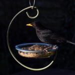 Mealworm and Blue Bird Feeder - Jacobi Jayne® Easy-Clean Hanging Treat Dish - Ideal for Bird Seed, Mealworms & Table Scraps - Hanging Bird Feeder for Wild Bird Food (Hanging Treat Dish) - Image 7