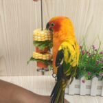 Bird Food Holder Parrot Foraging for Hanging Stainless Steel Treat Veggie Skewer for Parakeets Conures - Image 5