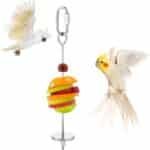 Bird Skewer, Bird Food Holder Bird Cage Food Holder Hanging Food Bird Skewer Stainless Steel Parrot Hanging Vegetable Fruit Feeder Parrot Foraging Toy for Parrots Cockatoo Cockatiel(23 cm) - Image 2