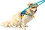 Blind Dog Halo Harness, Protective Halo Dog Collar for Blind Dogs, Confidence Building Harness Guiding Device, Blind Dog Accessories, S - Image 2