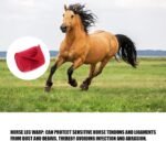 Brushing Boots for Horse Set of 4,Non-Slip Neoprene Horse Boots Leg Wraps for Horses, Protection Boots Treats for Sprains Bites-Universal Size (Red) - Image 2
