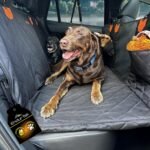 Dog Car Seat Cover for Back Seat | Universal Hard Bottom Back Seat Extender for Car, Truck, SUV | Waterproof Cargo and Truck Bed Protector Hammock with Storage Pockets for Medium & Large Dogs - Image 2