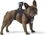 GoPro Fetch Dog Harness - Official GoPro Mount - Image 2