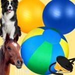 Herding Ball for Dogs: 25" Complete Set Horse Ball Dog Ball with 2 PVC Ball, ‘Horseshoe’ Pump, Tri-Colour Cover, Horse Toys, Collie Ball for Herding Dogs - Image 2