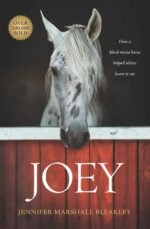 Joey: How a Blind Rescue Horse Helped Others Learn to See - Image 2