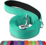 Joytale Double-Sided Reflective Dog Leash, 6 FT/5 FT/4 FT, Padded Handle Nylon Dogs Leashes for Medium & Large Dogs Walking, Teal, 6FT - Image 2