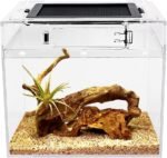 Mini Reptile Terrarium,8" x 8"x 8" Reptile Tank with Full View Visually Appealing，for Insect，Fish，Tarantula，Hermit Crab，Jumping Spider，Iguana，Tortoise，Leopard Gecko，Frog，Bearded Dragon - Image 2