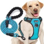 No Pull Dog Harness Adjustable Reflective Oxford Easy Control Medium Large Dog Harness with A Free Heavy Duty 5ft Dog Leash (L (Neck: 18"-25.5", Chest: 24.5"-33"), Blue Harness+Leash) - Image 2