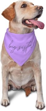 Promoted to Big Sister Dog Bandana Dog Bandana Gender Reveal Photo Props Accessories im Going to be Big Sister Pet Scarf (Purple) - Image 2